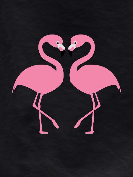 flamingos