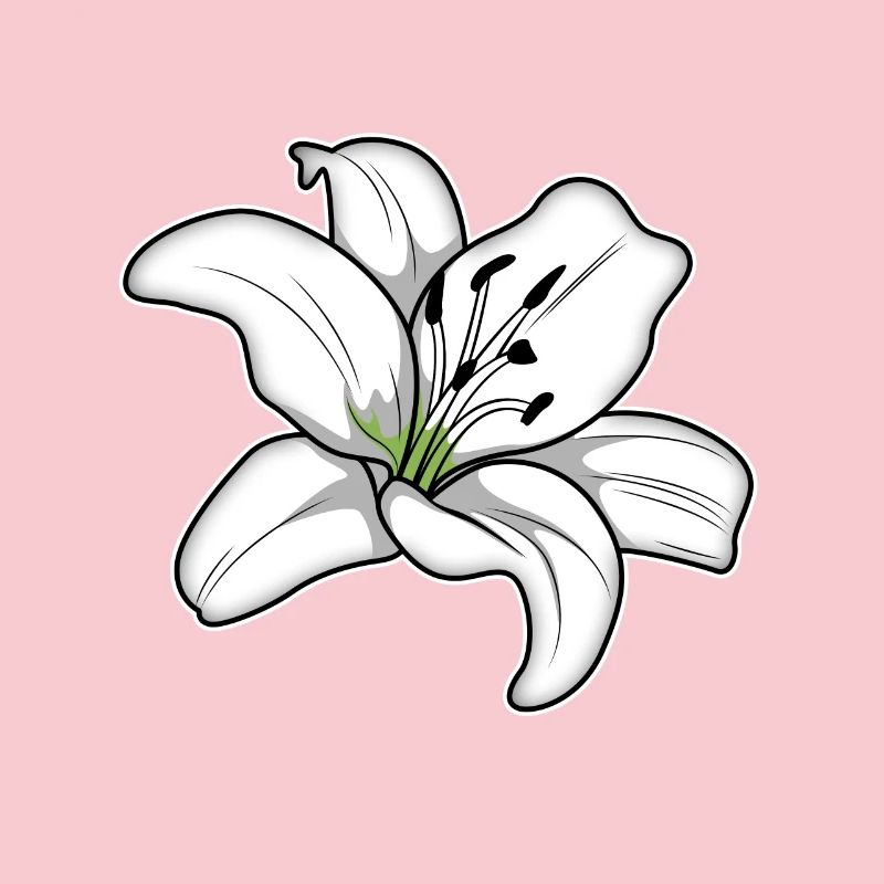 Élégante fleur de lys blanc