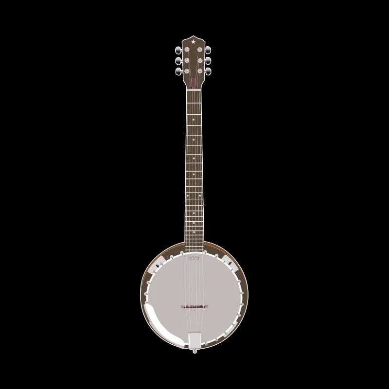 Banjo - Single Banjo