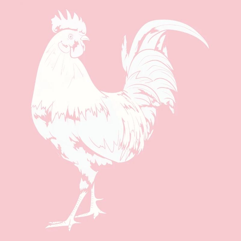 Rooster Chicken Rooster