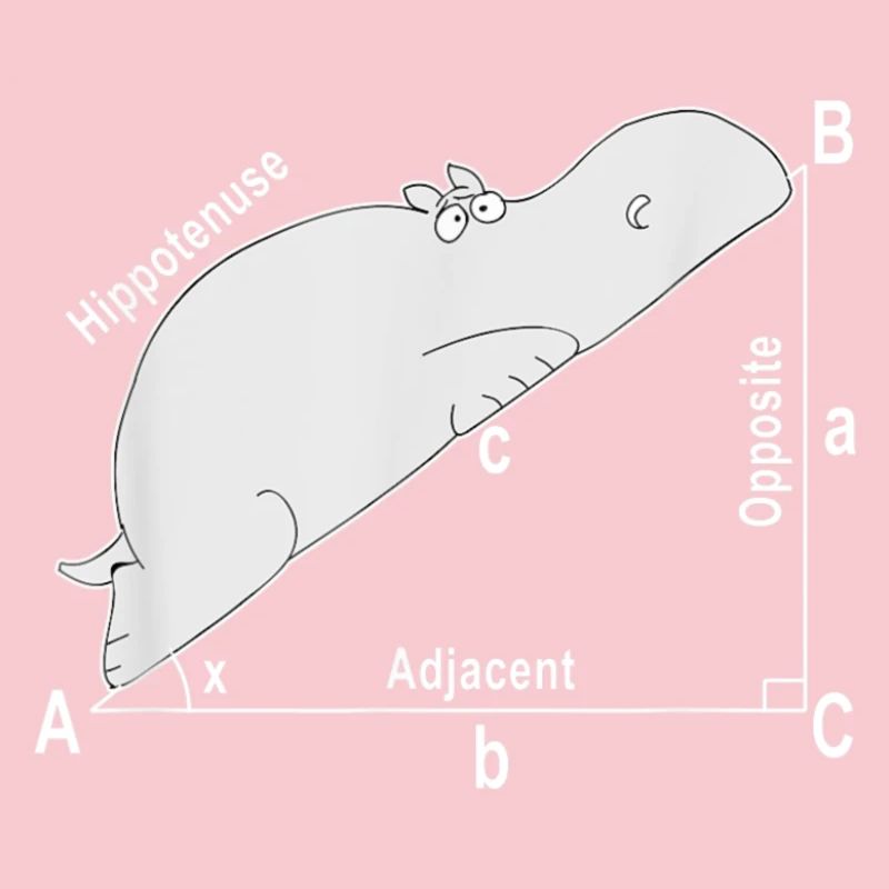 Hippo Math Math Chemise drôle drôle de professeur