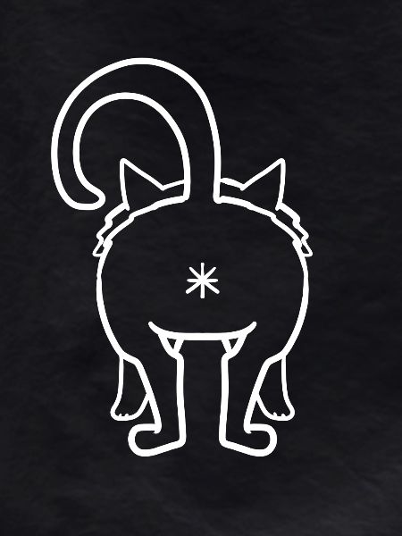 Cat from behind
