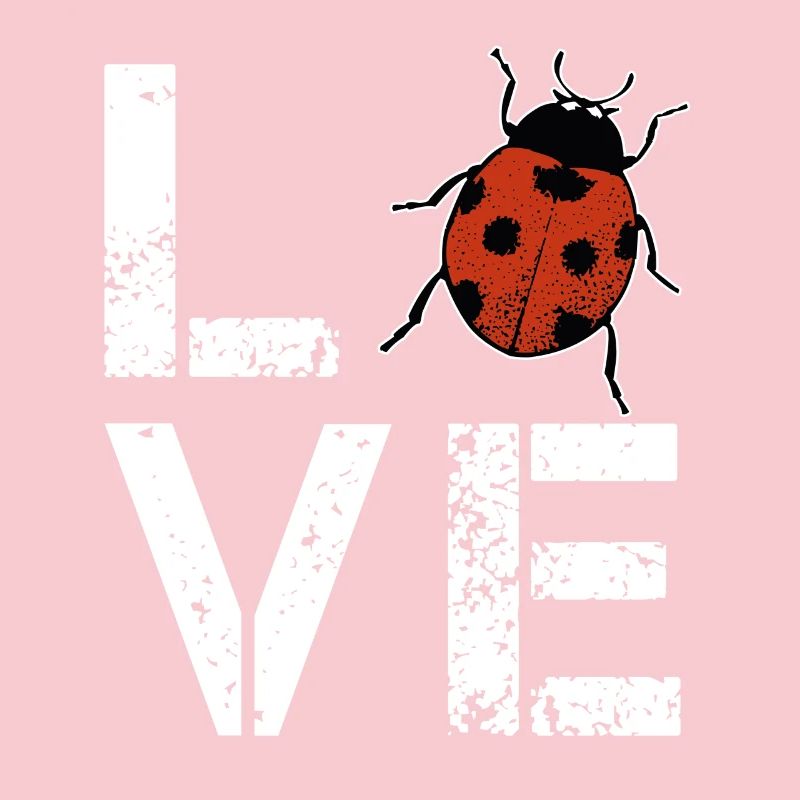 Ladybug Love Ladybug Gift