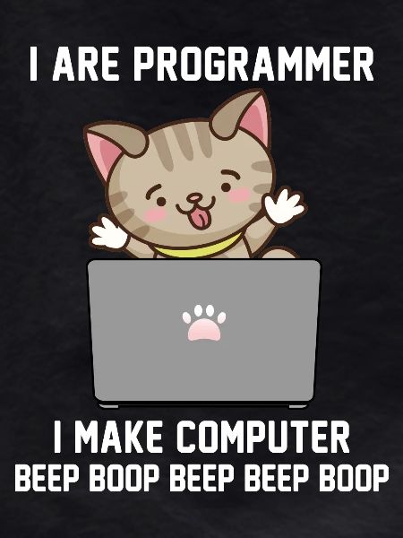 Programmeur