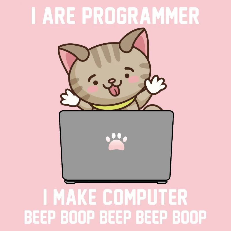 Programmer