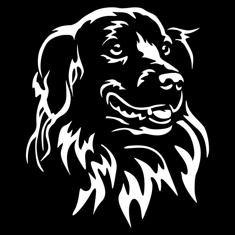 Tête de retriever à péage de canard « Black Edition »