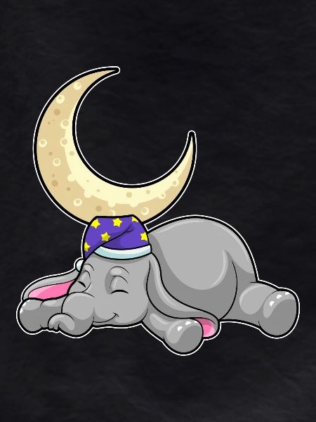 Elephant Moon