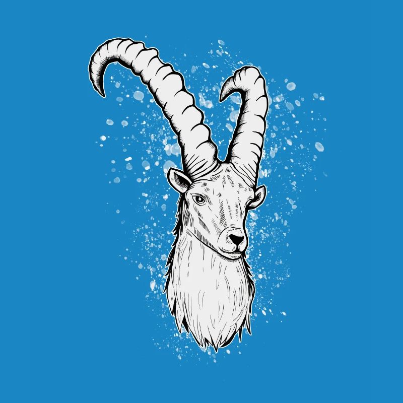 Steinbock Sternzeichen Geschenk