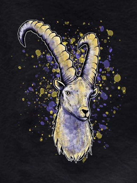 Capricorn Astrology