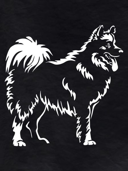 Samoyed "Black Edition"