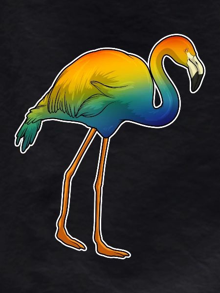 Flamingo Rainbow