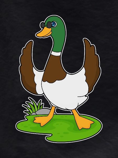 Duck Sunglasses