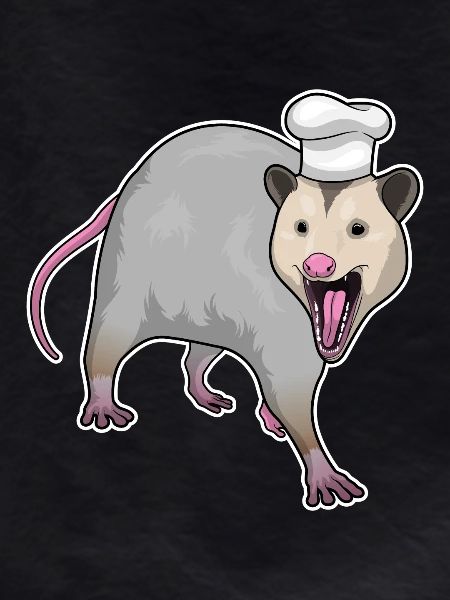 Cooking Cook's Hat