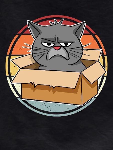 Cat in a box
