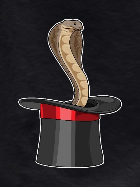 Snake Wizard Cylinder