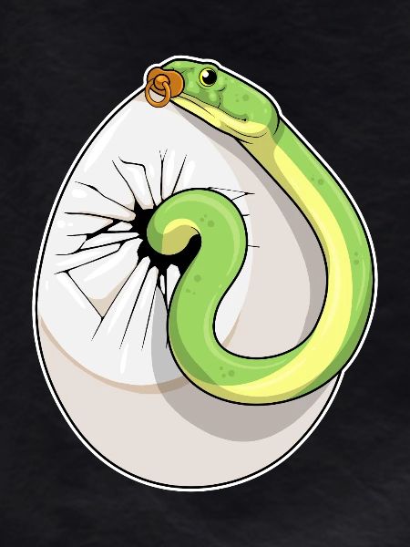 Snake Baby Pacifier