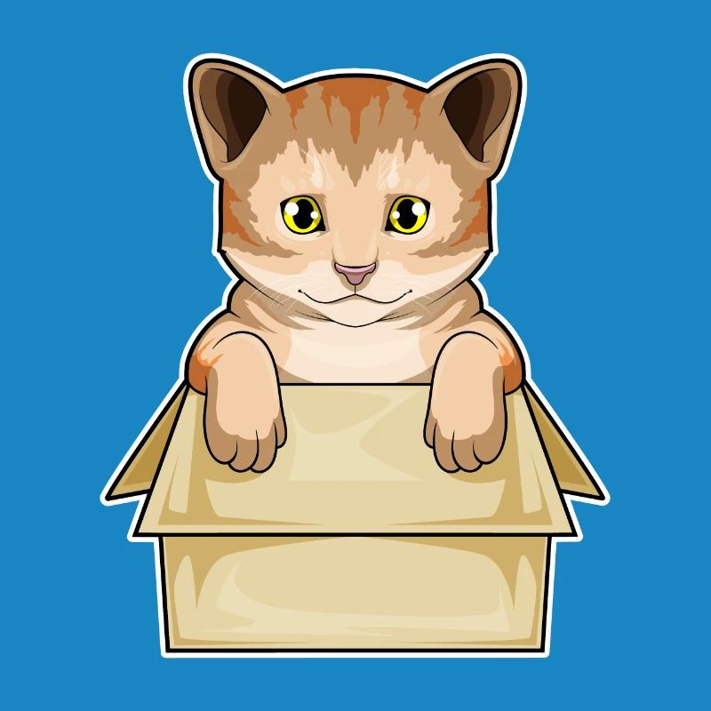 Katze Karton