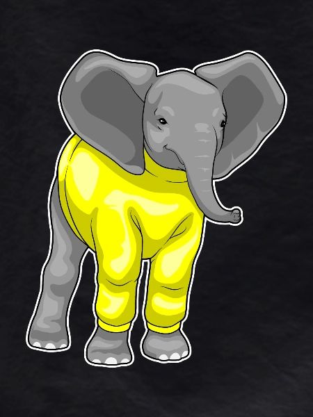 Elefant Winter Pullover
