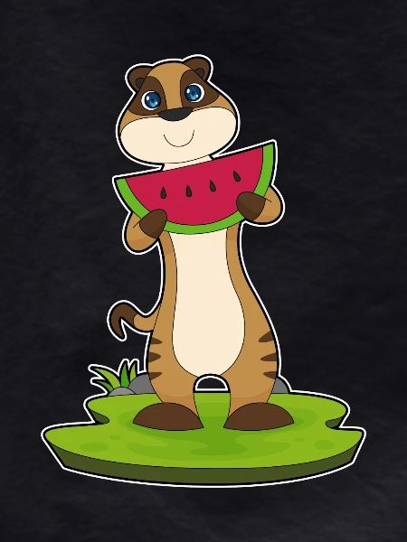 Suricate Pastèque