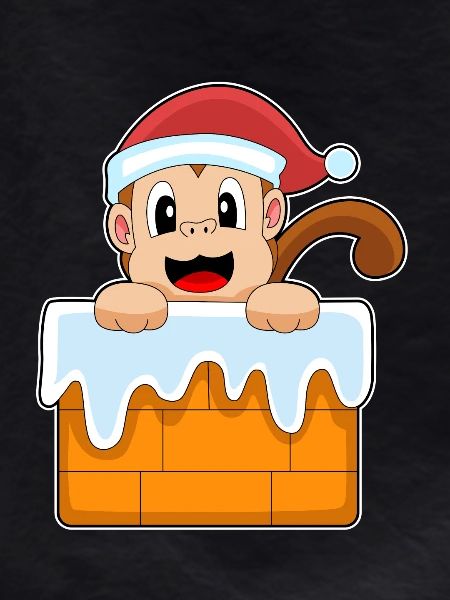 Monkey Christmas Santa Hat