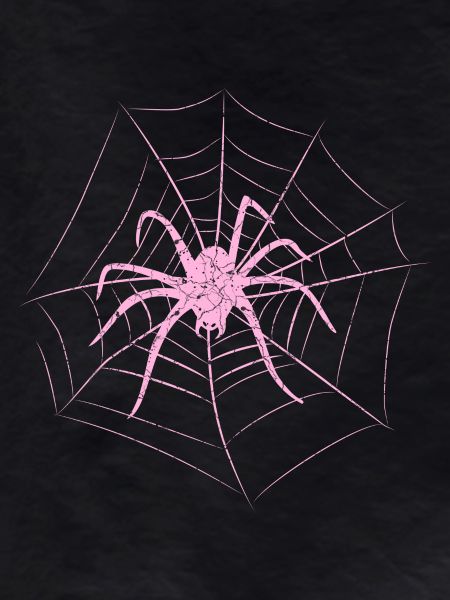 Spider in the web Halloween