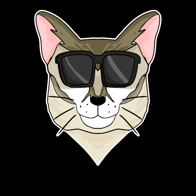 Singapura Katze mit Brille - coole Katze