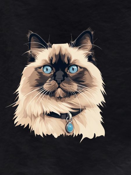 Cat Head Ragdoll