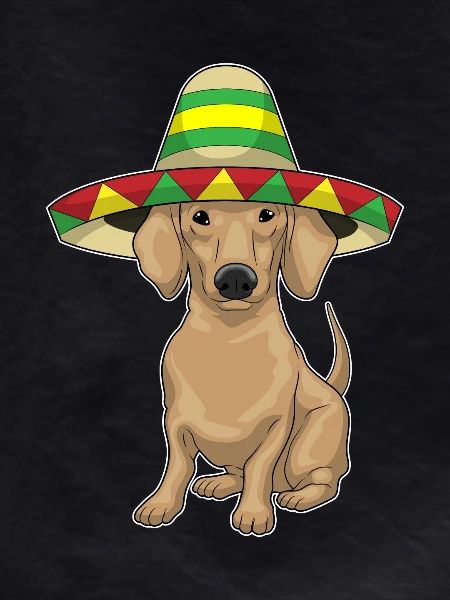 Dachshund Sombrero