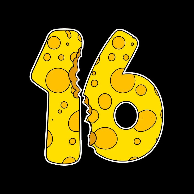16 Year Old Funny Cheese