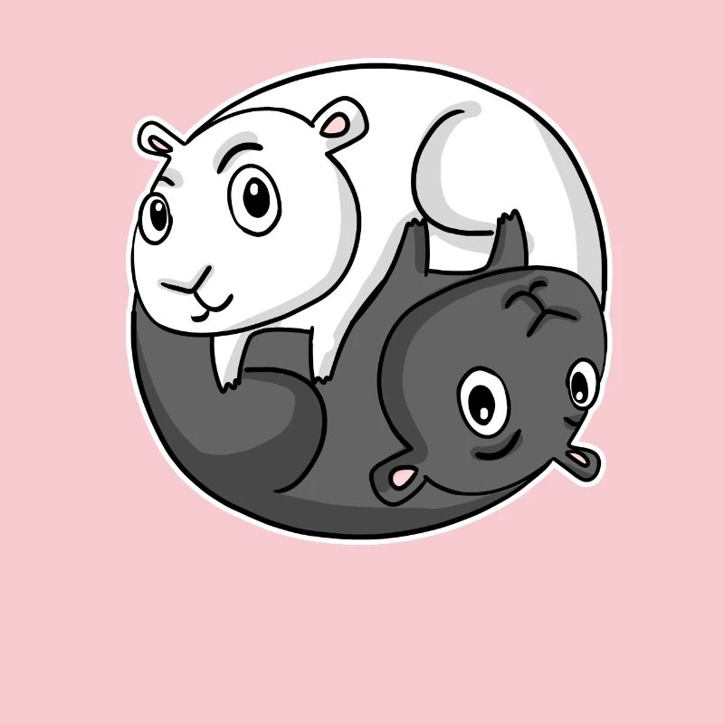 Cochon d’Inde Yin Yang Cochon d’Inde