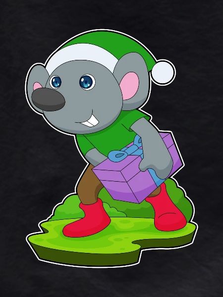 Mouse Christmas Package