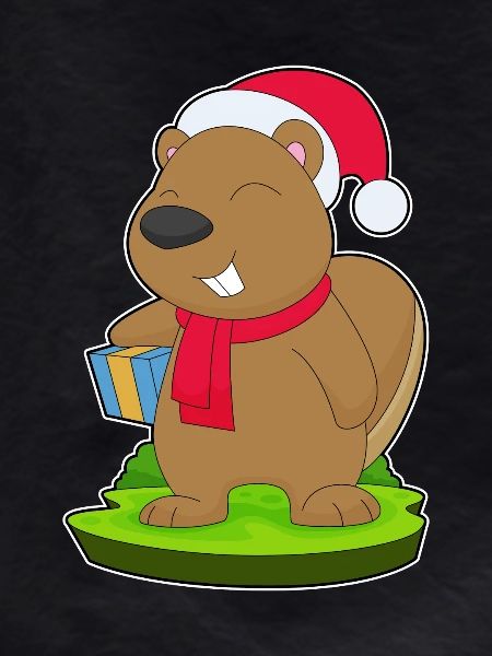 Beaver Christmas Package
