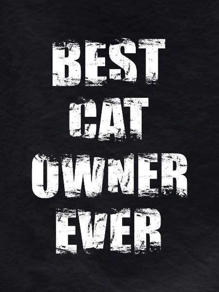 Best Cat Owner