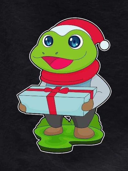 Frog Christmas Package