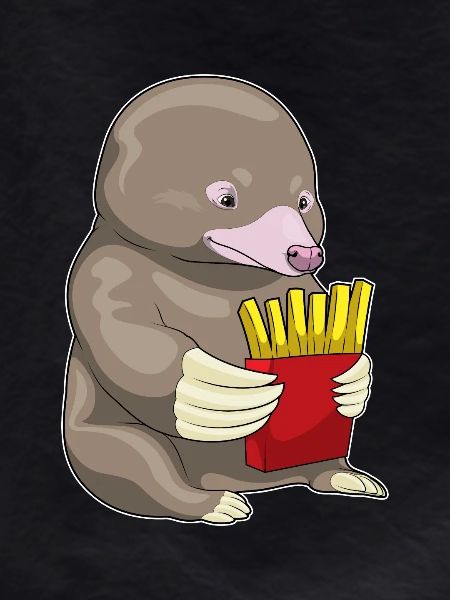 Mole french fries