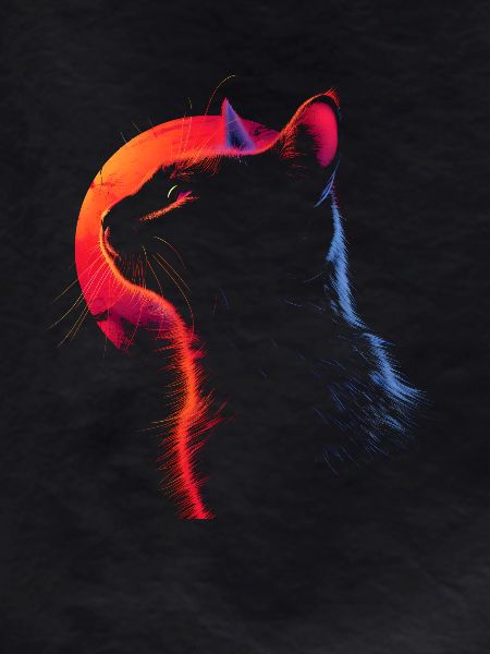 Cat Retro Look