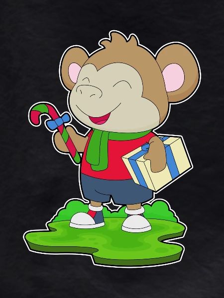 Monkey Christmas Package