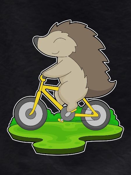 Vélo hérisson