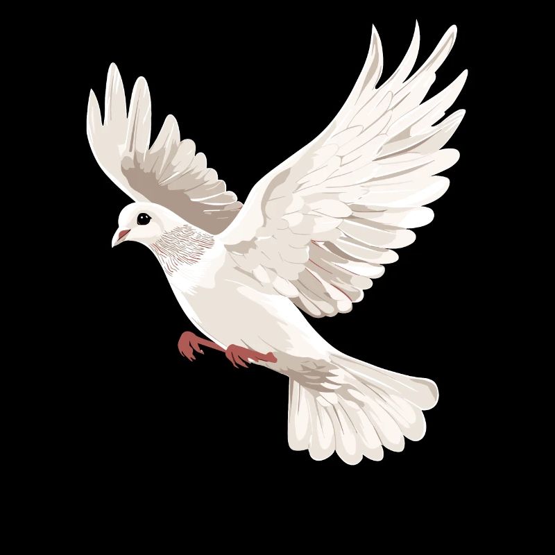 Colombe Blanche Paix Paix Bois Colombe Colombes Blanches