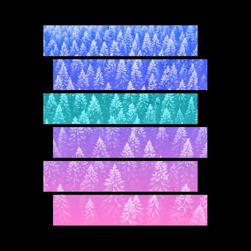 Fir
