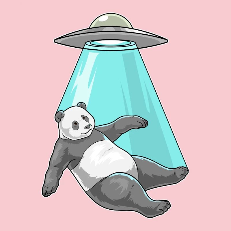 Panda Spaceship