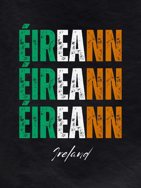 Flag of Ireland, Irish Pride