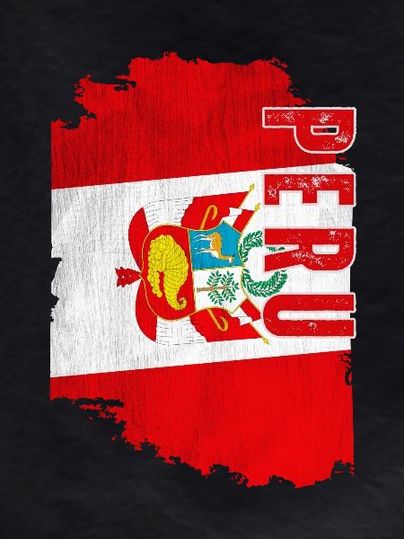 Vertical Peruvian flag, Peruvian pride