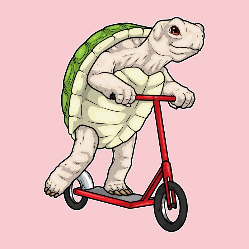 Turtle scooter