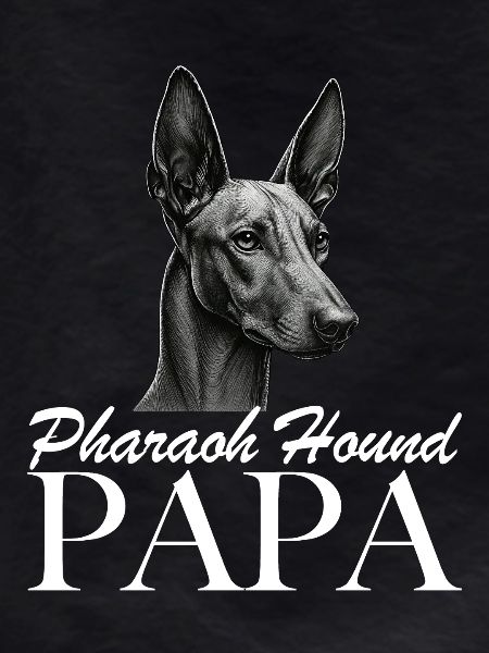 Pharaoh Hound Dad
