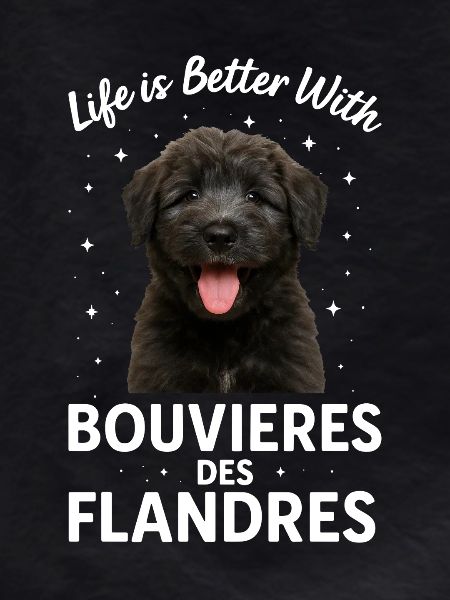 Bouvier des Flandres