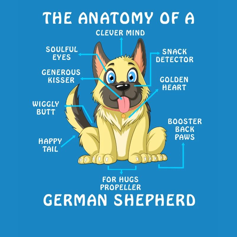 Anatomie eines Deutschen Schäferhundes