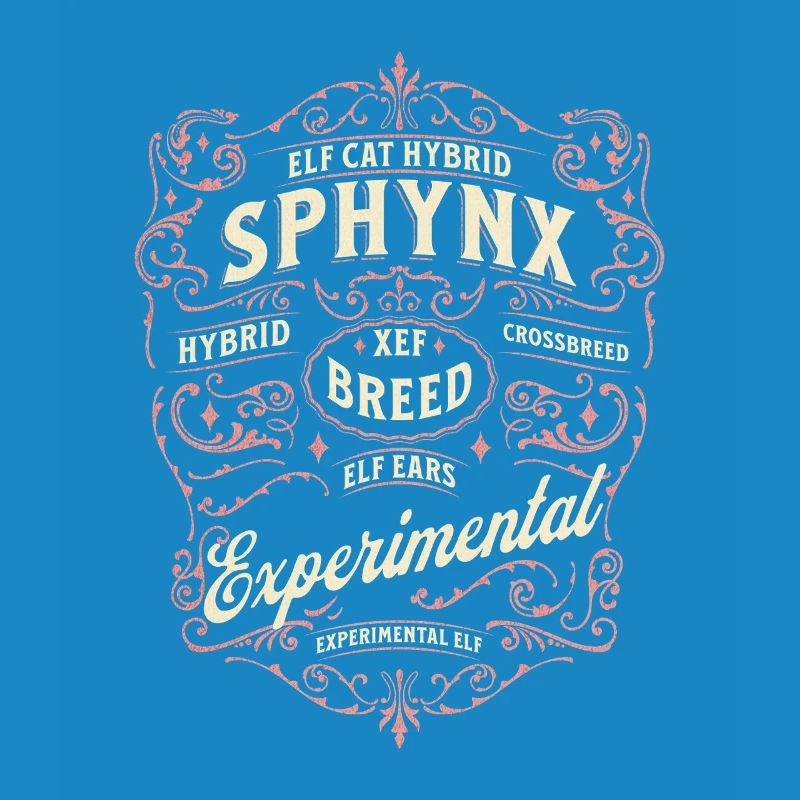 Elfe Sphynx Chat