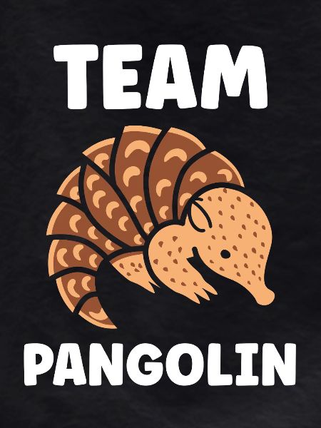 Pangolin Cartoon Team