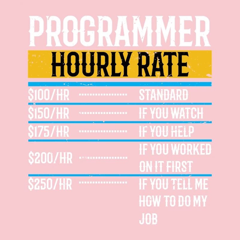 Programmer Funny Hourly Rate